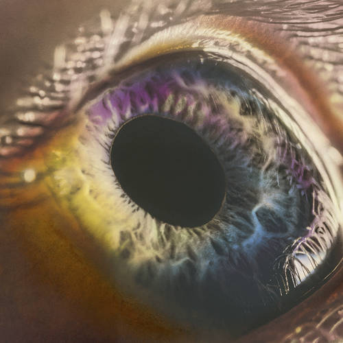 (image for) Arcade Fire - We LP